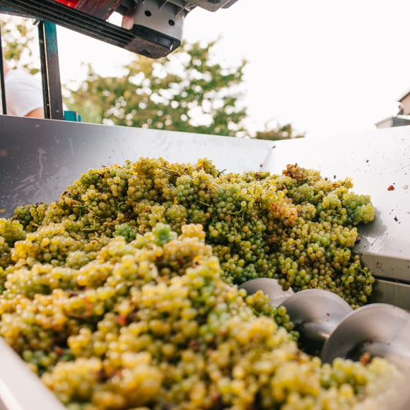 Wein Pressen Gutjahr Wein Pressen Gutjahr